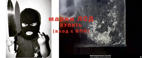 стаф Верея