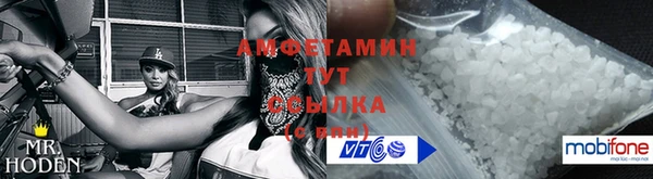 стаф Верея