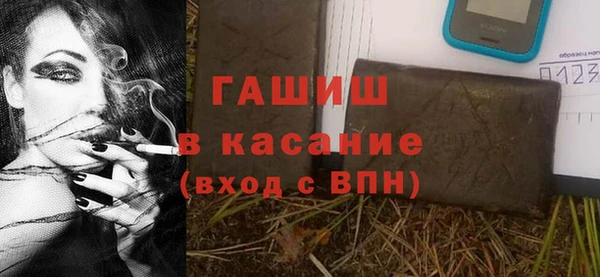 стаф Верея