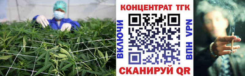 ТГК концентрат Дальнегорск