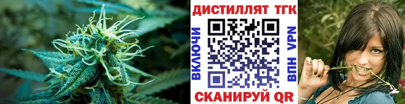 дарнет шоп  Дальнегорск  ТГК THC oil 