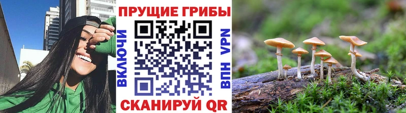 Псилоцибиновые грибы GOLDEN TEACHER  Дальнегорск 