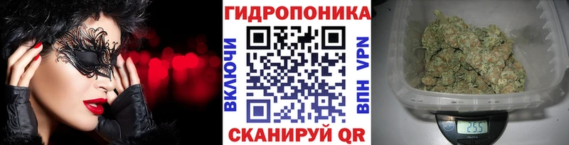гидра   Дальнегорск  Шишки марихуана план 